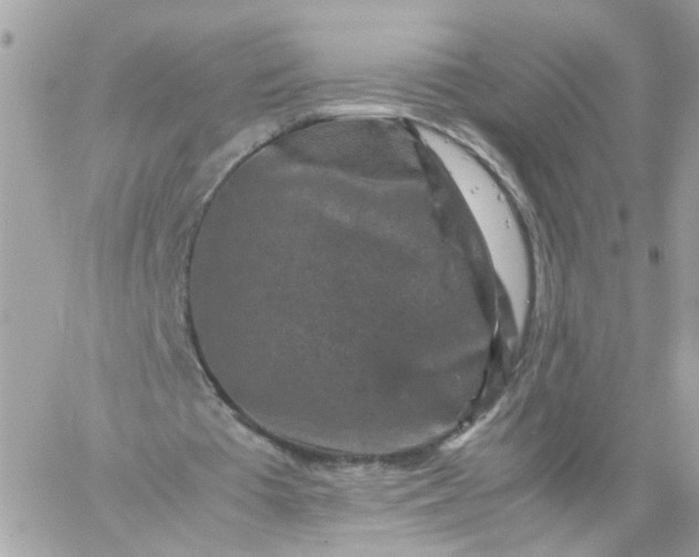 X0000059250385200510282001