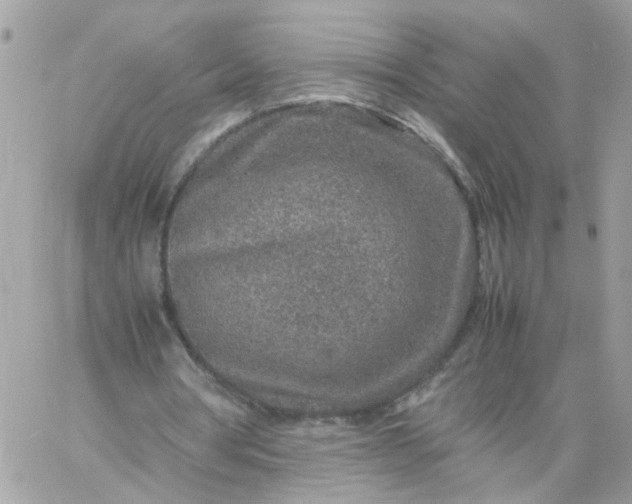 X0000059250386200510282001