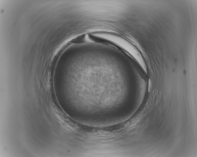 X0000059250387200510282001