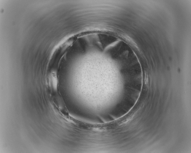 X0000059250388200510282001