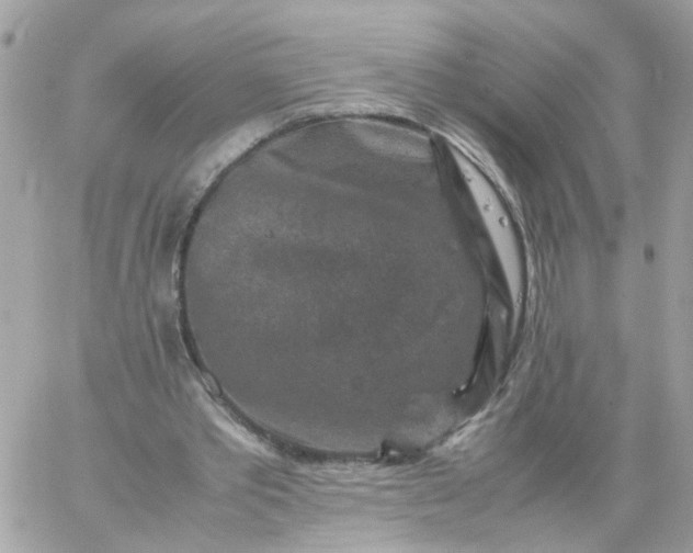 X0000059250389200510282001