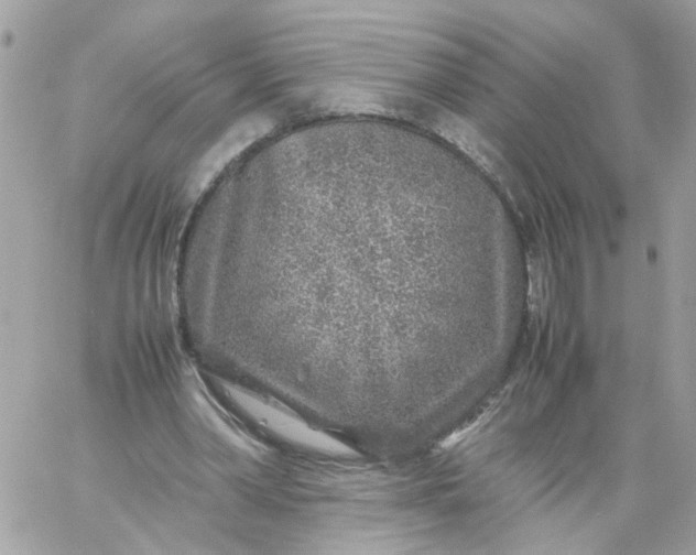 X0000059250390200510282001