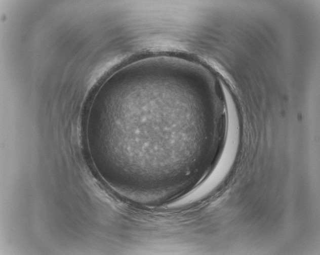 X0000059250391200510282001