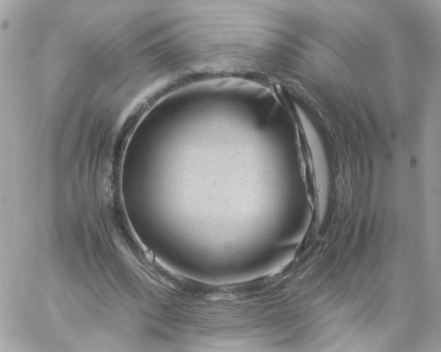 X0000059250392200510282001