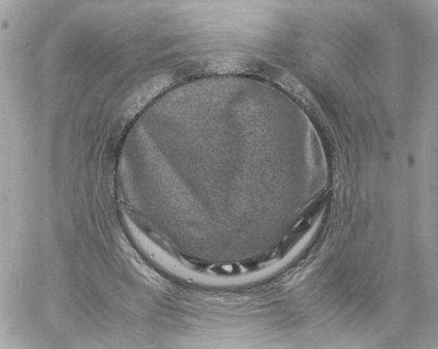 X0000059250393200510282001