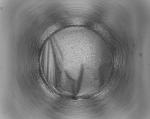 X0000059250394200510282001