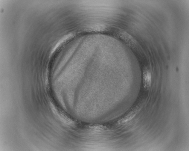 X0000059250396200510282001