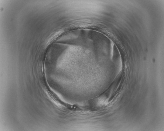 X0000059250397200510282001