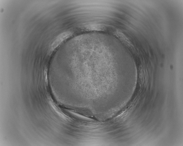 X0000059250398200510282001