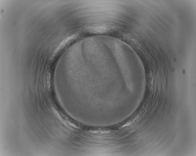 X0000059250400200510282001