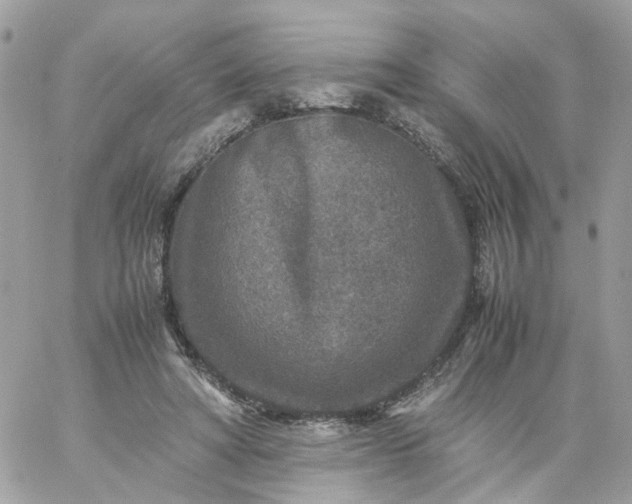 X0000059250402200510282001