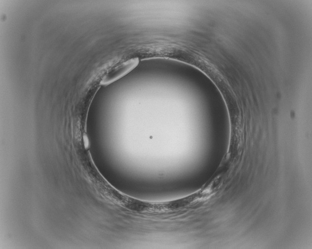 X0000059250403200510282001