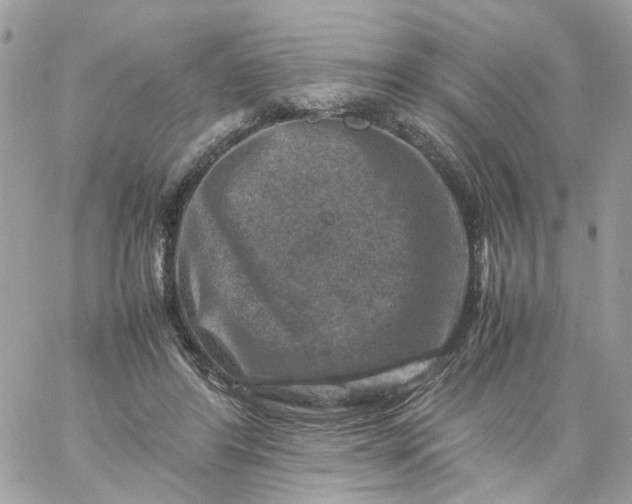 X0000059250404200510282001