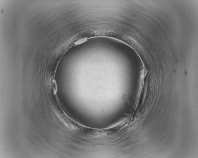 X0000059250405200510282001