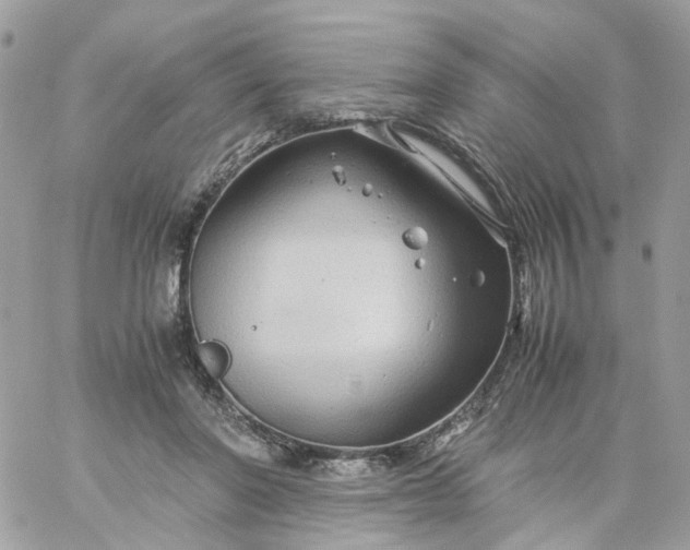 X0000059250406200510282001