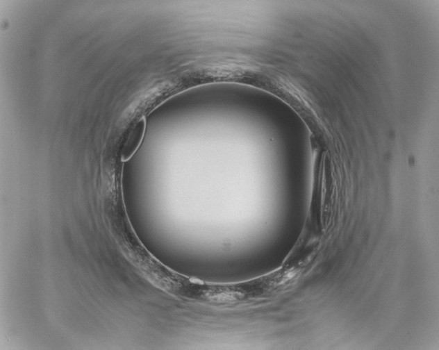 X0000059250407200510282001