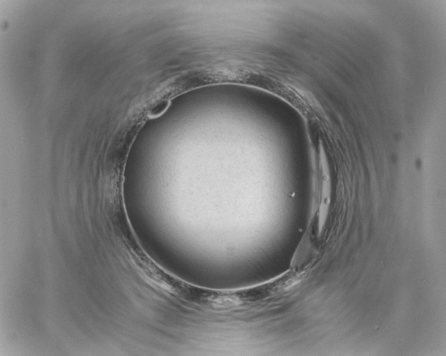 X0000059250409200510282001