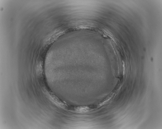 X0000059250410200510282001