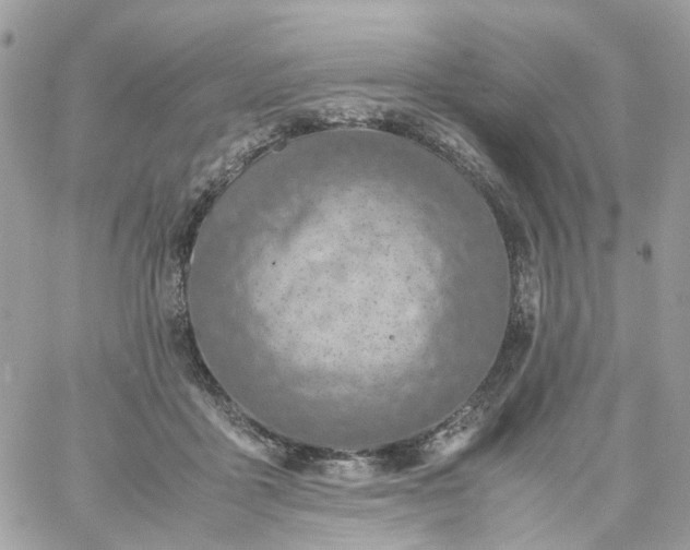 X0000059250411200510282001