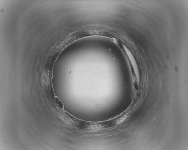 X0000059250413200510282001