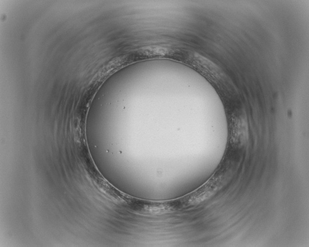 X0000059250414200510282001