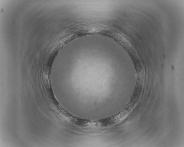 X0000059250415200510282001