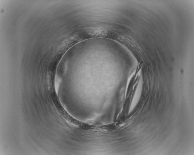 X0000059250416200510282001