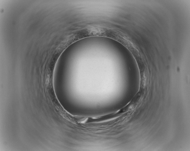 X0000059250417200510282001