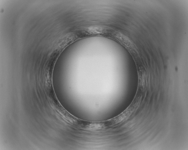 X0000059250418200510282001