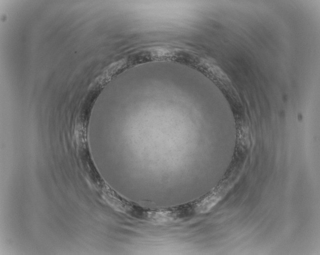 X0000059250419200510282001