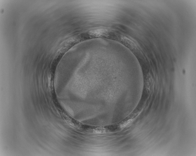 X0000059250420200510282001