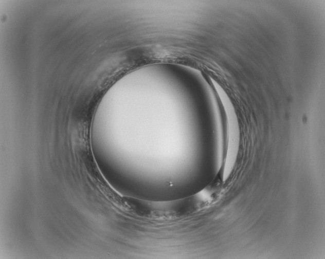 X0000059250421200510282001