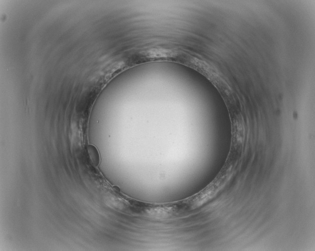 X0000059250422200510282001