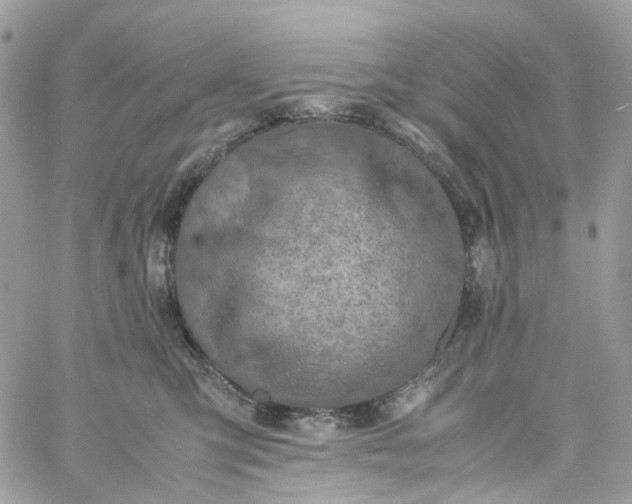 X0000059250423200510282001