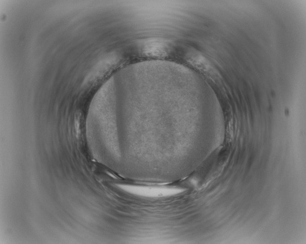 X0000059250424200510282001