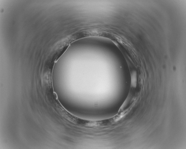 X0000059250425200510282001