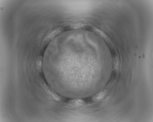 X0000059250427200510282001