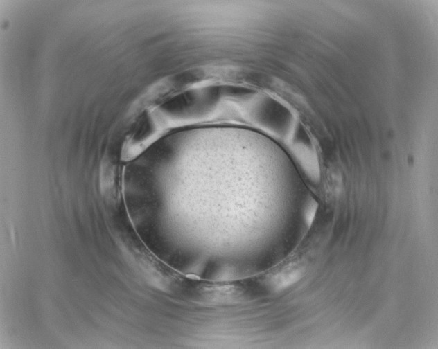 X0000059250428200510282001