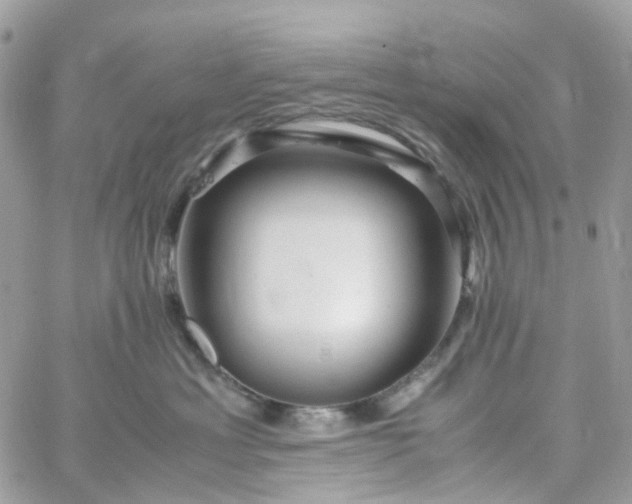 X0000059250429200510282001