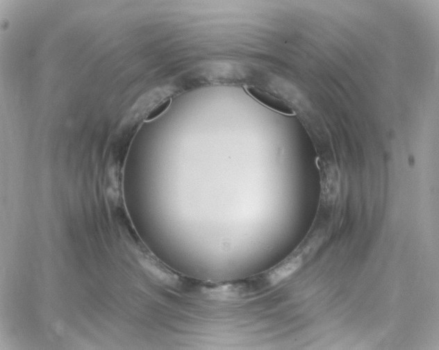 X0000059250430200510282001