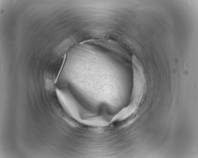 X0000059250432200510282001