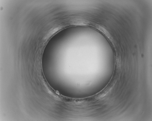 X0000059250433200510282000