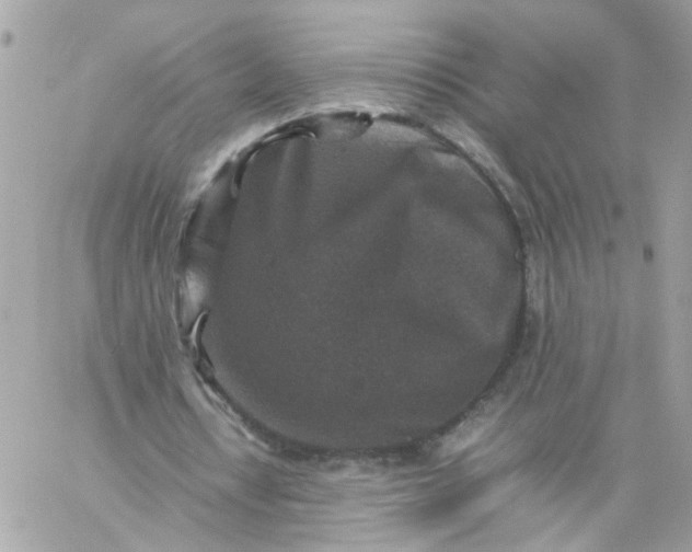 X0000059250434200510282000