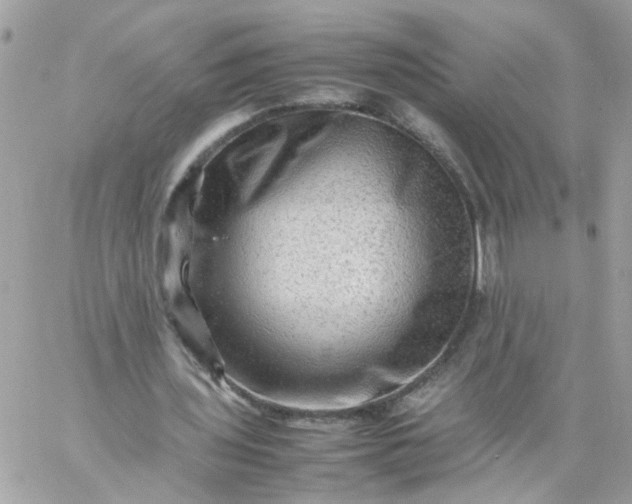 X0000059250435200510282000