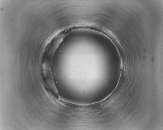 X0000059250436200510282000