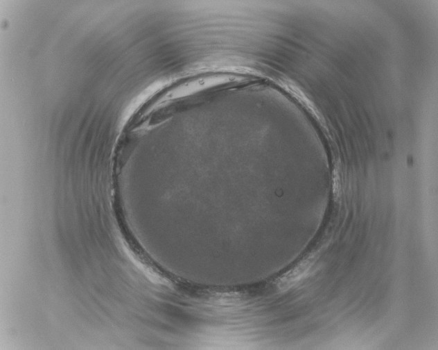 X0000059250438200510282000