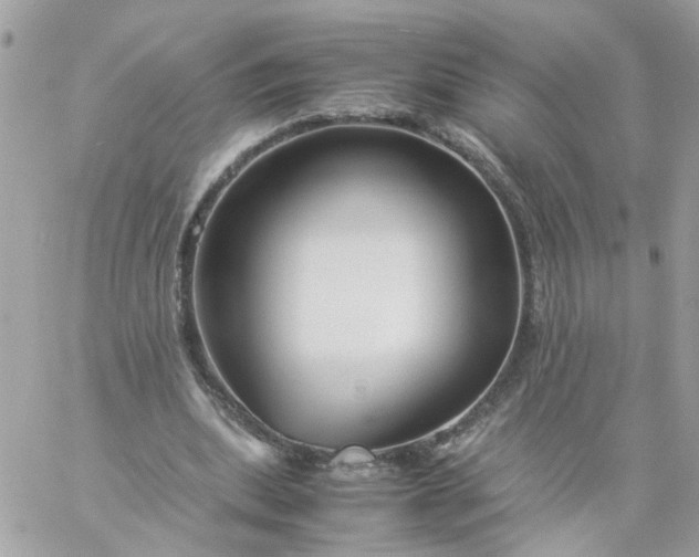 X0000059250439200510282000