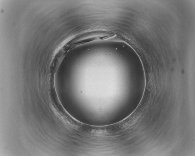 X0000059250440200510282000