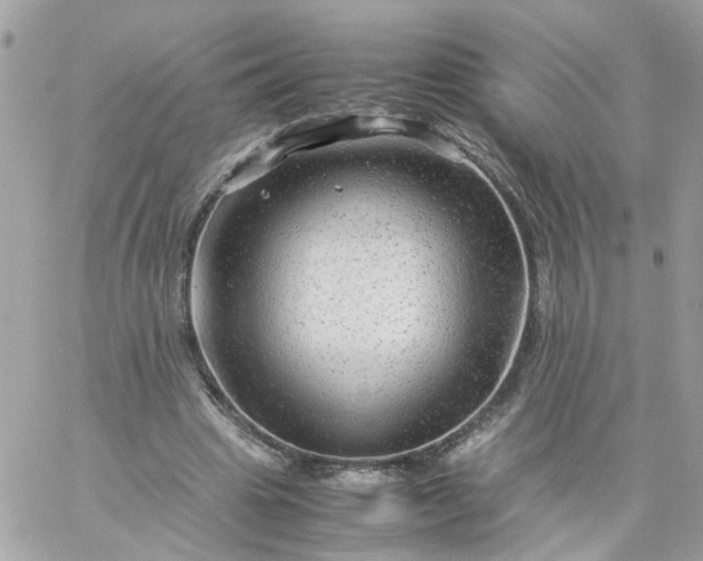 X0000059250441200510282000