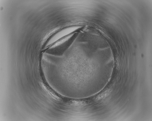 X0000059250442200510282000